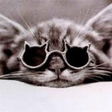 Скиталец ......