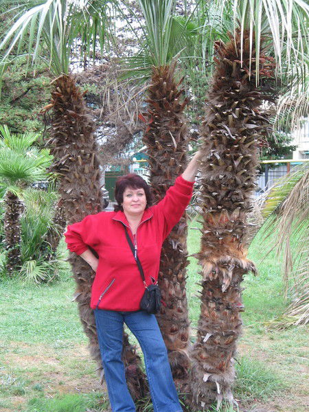 Алла Попова