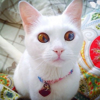 Вадим Юртаев