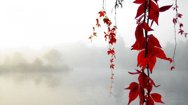 Ирина Бектыбаева