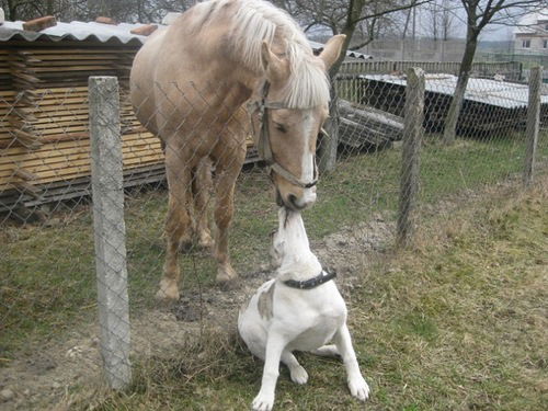 Ольга Гришина