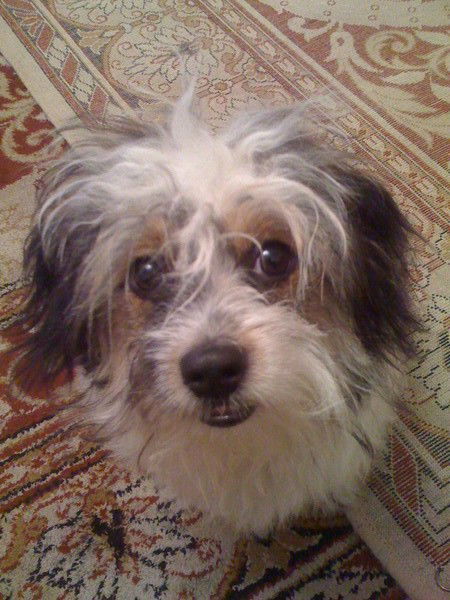 Гульнара Нагорнова