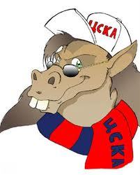 Вася Морозов