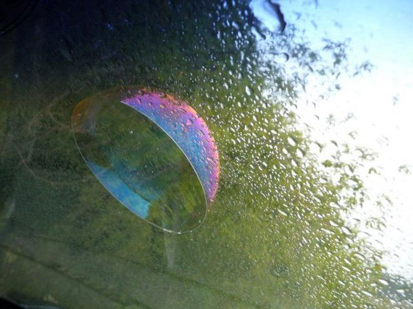 Надежда Алексеевна