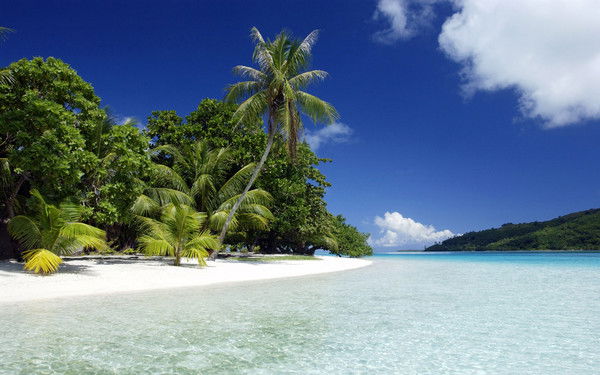 Jjjjjjjjjjjjj Иванов