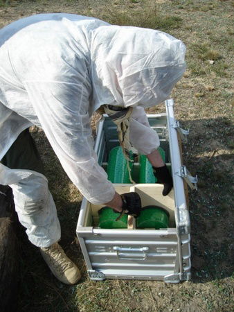 Давид Кравченко