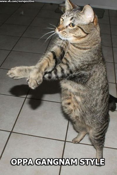 Данила Платонов