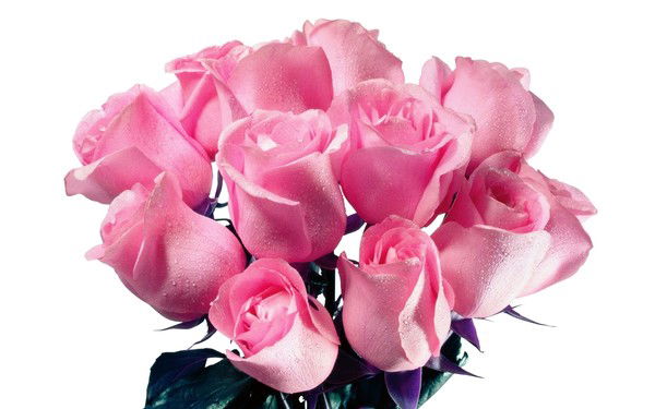 Шолпан Сасбухаева