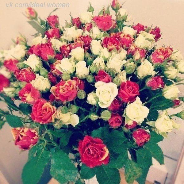 Айзат Кожамкулова