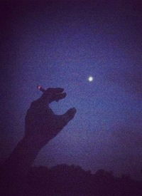 Сергей Радонцев