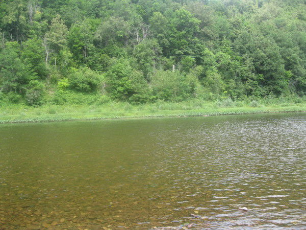 Гульфия Мухаметдинова