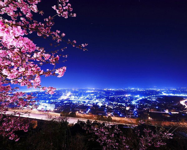 Дмитрий Дуйнов