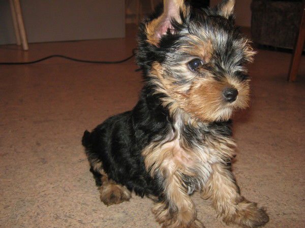 Валерия Кузнецова