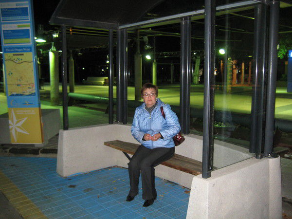 Анна Медведева