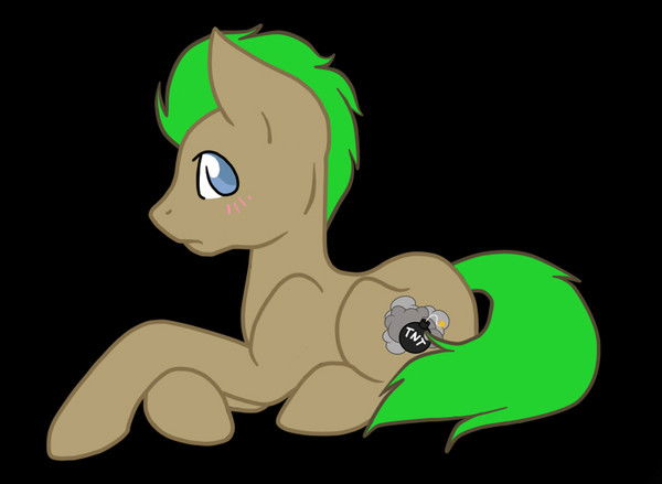 Bony Скай-Уиллсон C.t