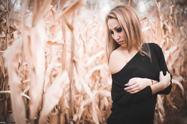 Регина El Gato