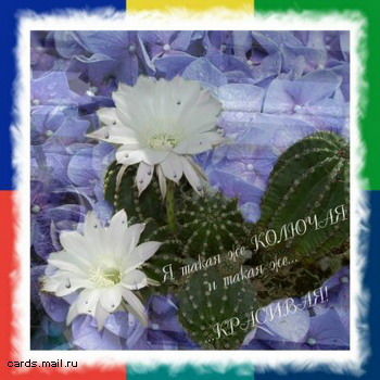 Елена Прекрасная