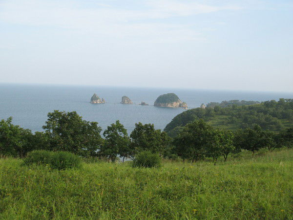 Евгений Тимохин