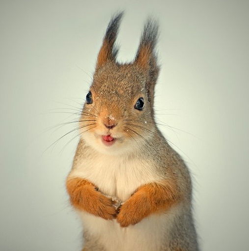 Юлия Карякина