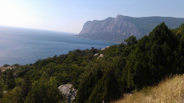 Ирина Малиновская