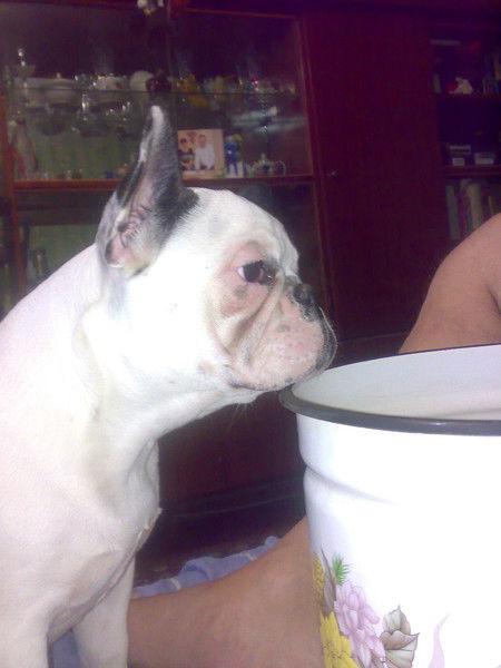 Алена Никак