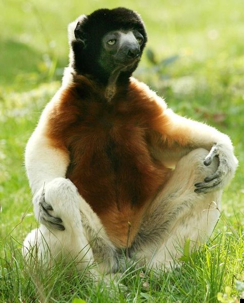 Владимир Демченко