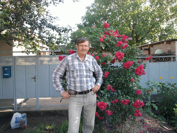 Вальдемар Алекс