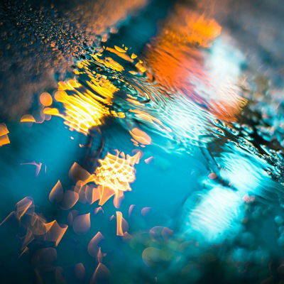 Ирина Пилимонкина