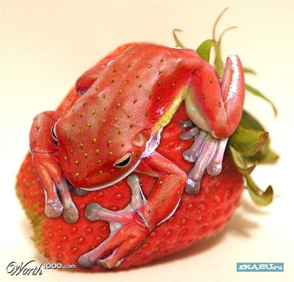 Ксения Сысоева