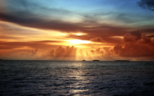 Алексей Стегачев