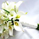 Эльвира Термечикова