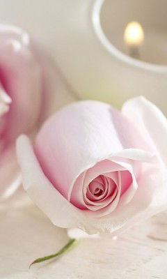 Добавляйтесь Аватария !!!