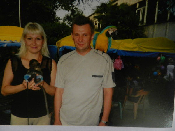 Дмитрий Соловьев