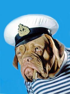 Веселов Виктор