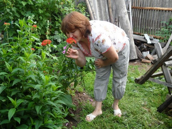 Елена Соболева