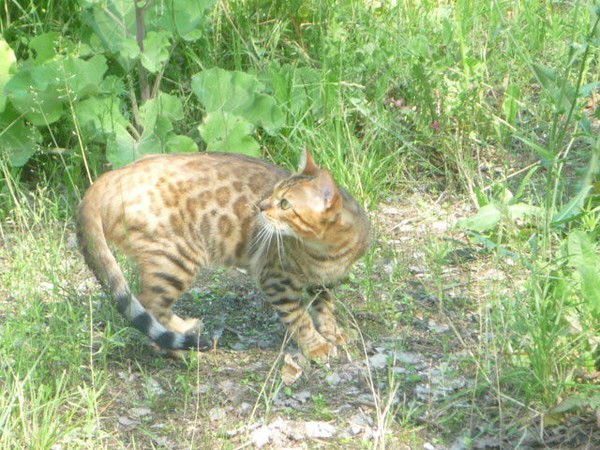 Ольга Комарова