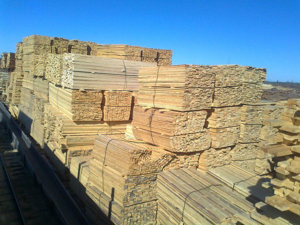 Дайт Магомедов