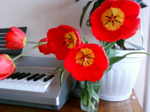 Надежда *******