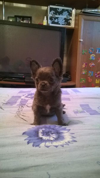 Алёна Мальшакова