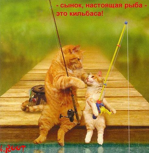 Геннадий Немков