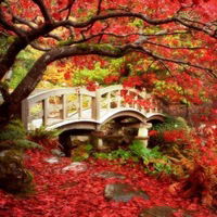 Валентина Абдуова