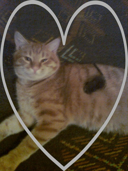 Ольга Судакова