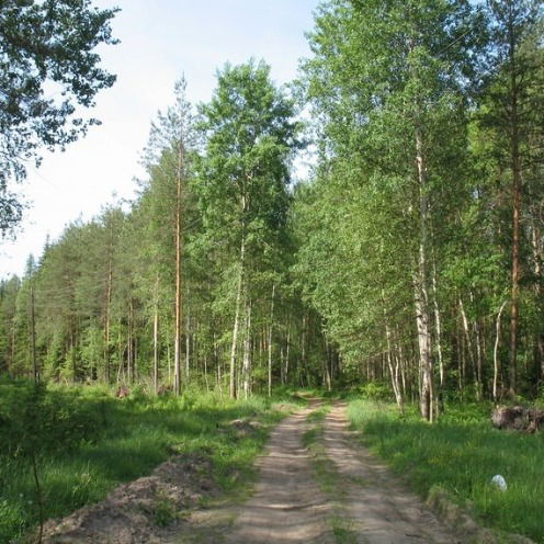 Мария Горячева