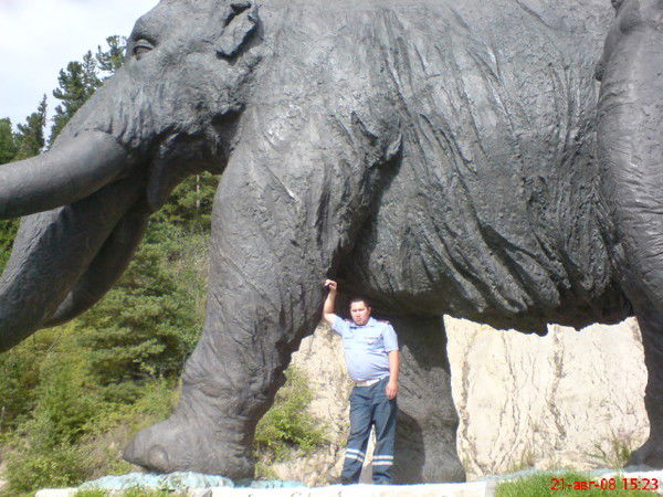 Дамир Гафуров