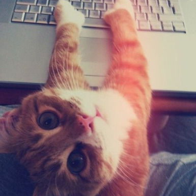 Василина Вазюля