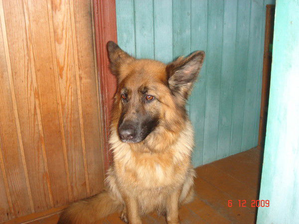 Ира Максимова