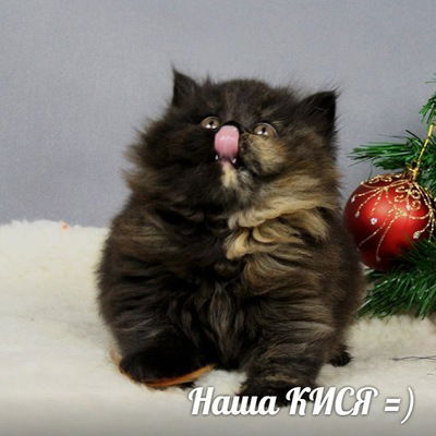 Даша Денисова