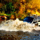 Андрей Егорушкин