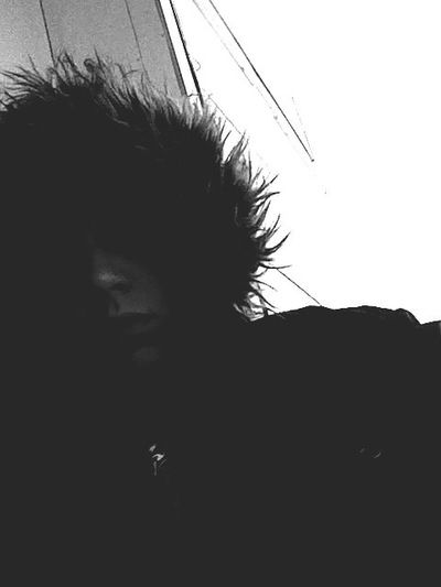 Дмитрий Андреевич