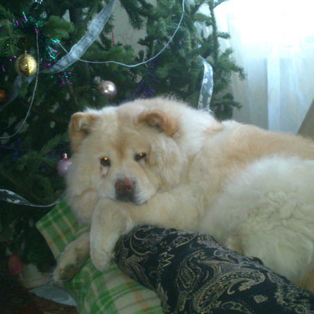 Герасим Молотов